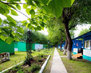 3566_belyy-lebed-102