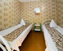 3568_belyy-lebed-104